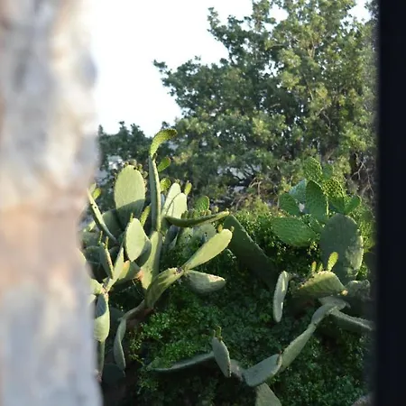 Antares Mani Apartment Areopoli