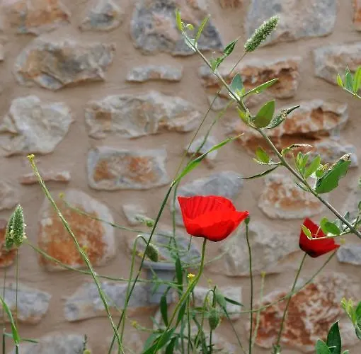 Διαμέρισμα Antares Mani *