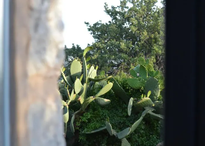 Antares Mani Lägenhet Areopoli